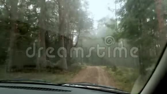 在乡村秋林路开车视频的预览图