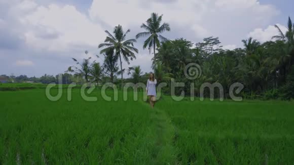 美丽的年轻女模特穿着长袍在巴厘岛的稻田里漫步美丽的景色视频的预览图