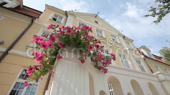 拉脱维亚黄色城堡附近的红花视频的预览图