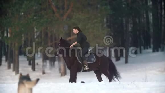 马术运动美丽的长发女子骑着一匹黑色的马穿过雪林深处的漂流视频的预览图