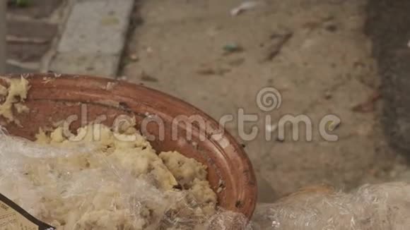 传统撒丁岛奶酪和蠕虫卡西鲁马祖撒丁岛奶酪与的幼虫视频的预览图