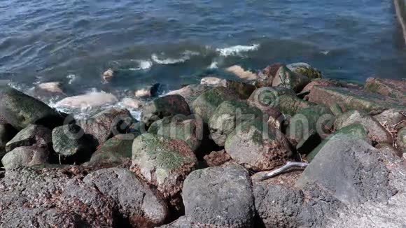 海边的高岩石海岸视频的预览图
