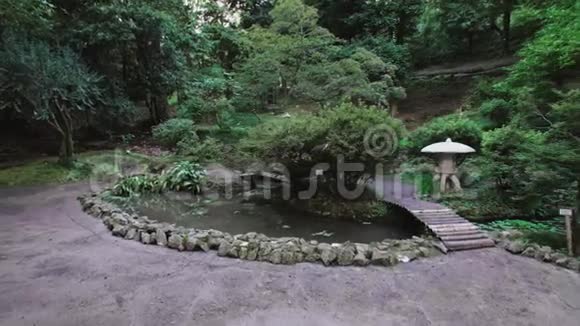 公园里的日本花园池塘里有漂浮的红鲤鱼步行的桥高大的树和蕨类植物视频的预览图