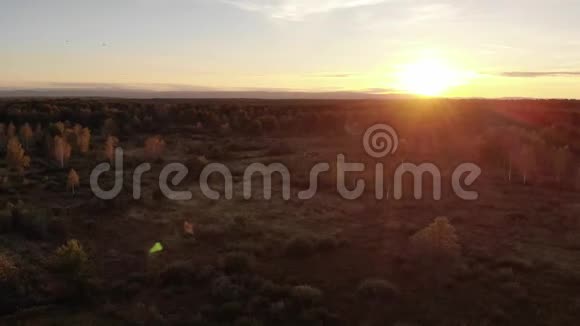鸟瞰秋草地景观日落和自然镜头耀斑效果飞行回来视频的预览图