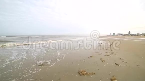 风暴过后海滩的海岸线被海岸上抛掉的藻类覆盖海鸥在空中盘旋视频的预览图