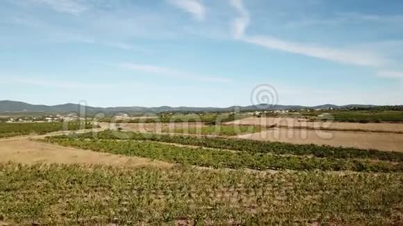 法国赫罗特法国葡萄园的鸟瞰图视频的预览图