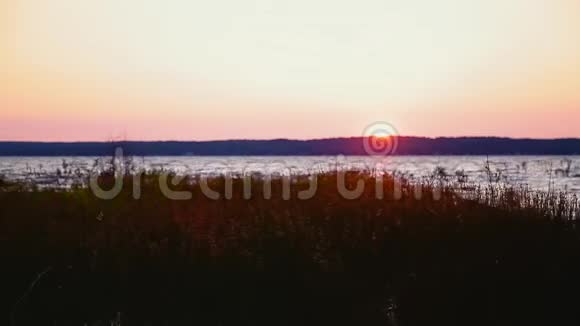 加拿大安大略省大湖地区格鲁吉亚湾的日落风景视频的预览图