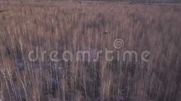黑色无人驾驶飞机飞过树顶和雪地上的小片土地拍摄冬天或春天的视频视频的预览图