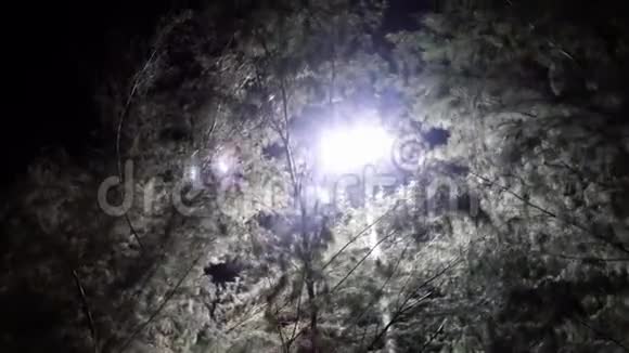 特写镜头一盏灯笼的背景灯穿过树林在灯光下在一个舒适的夜晚公园里沿着树林中的小径散步视频的预览图