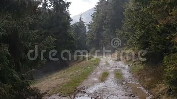 雾与云过山路视频的预览图