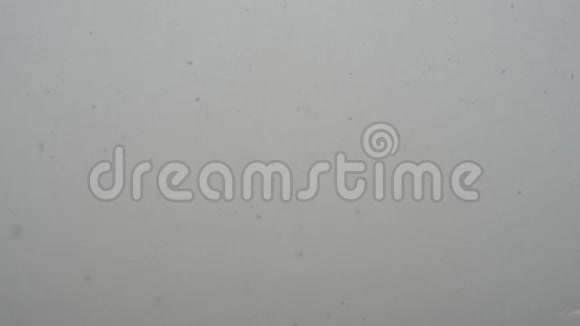 雪落的镜头视频的预览图