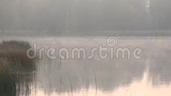 夏天早晨雾在湖面上翻滚4K视频的预览图