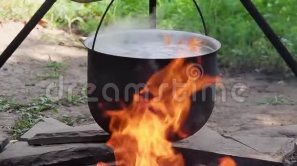 黑铁锅烧鱼汤视频的预览图