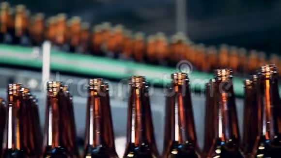 玻璃啤酒瓶正沿着工厂的运输工具移动视频的预览图