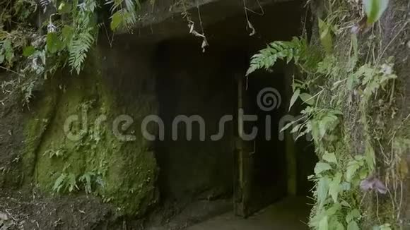 隧道的入口视频的预览图