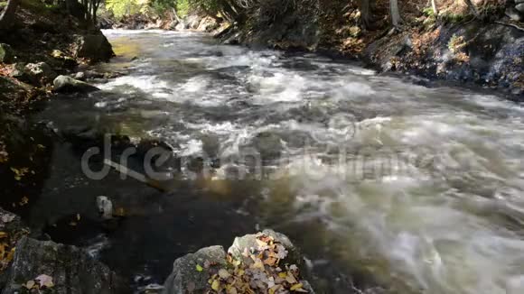 一条小白驹过隙的河流流过阳光明媚的石质河视频的预览图