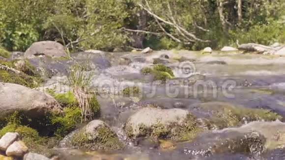 山林中的石河溪水流很快就流得很近视频的预览图