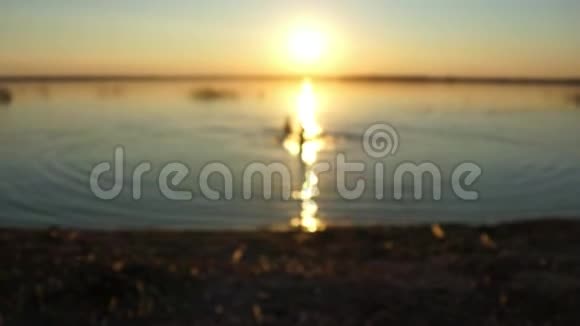 日落时分孩子们在湖中游泳童年的快乐视频的预览图