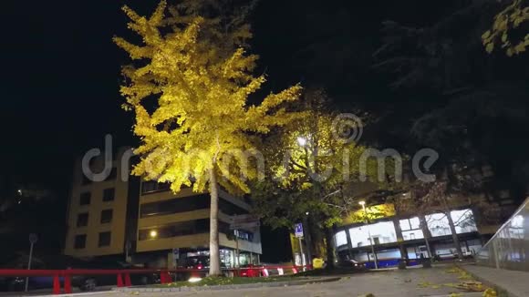 夜间时间街交通视频的预览图