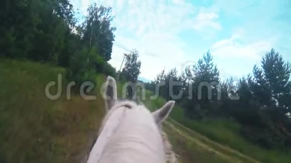 骑在白马上射击骑在森林里视频的预览图