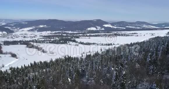 鸟瞰风景冬季自然美丽的欧洲森林山旅游白色著名的田园旅游视频的预览图