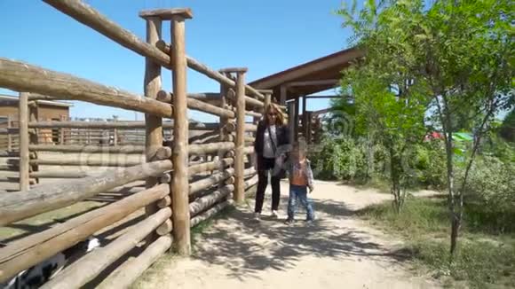 母子俩在动物园的鸟舍附近散步视频的预览图