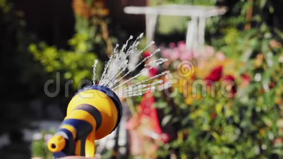 给花圃人工花园洒水器浇水视频的预览图
