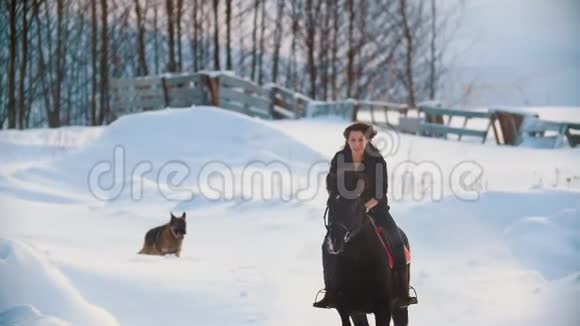 迷人的长发女骑手骑着一匹黑色的马带着狗穿过乡村深处的漂流视频的预览图