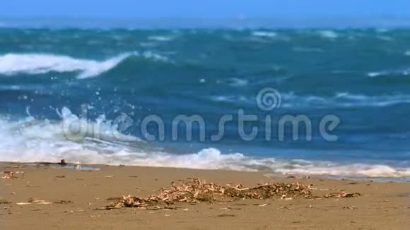 沙滩海岸线自然污染和生态问题上的蓝色海浪视频的预览图