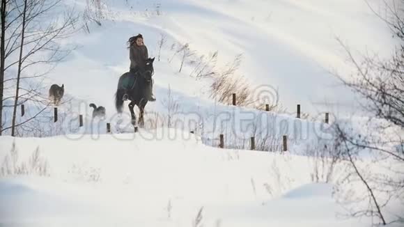 美丽的长发女骑手骑着一匹黑色的马沿着小径穿过雪地狗在附近奔跑视频的预览图