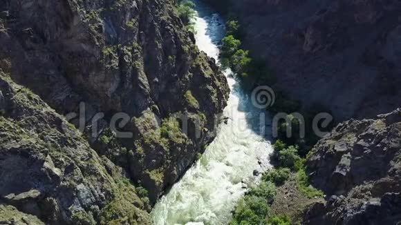 湍急的河流穿过岩石峡谷河岸上种着不同的绿树和灌木视频的预览图