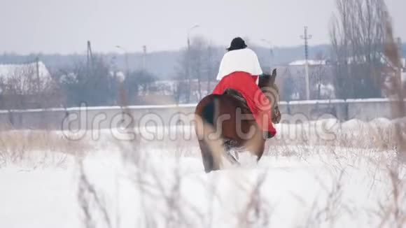 穿着红色连衣裙的漂亮黑发少女在冬天骑着马穿过白雪覆盖的田野视频的预览图