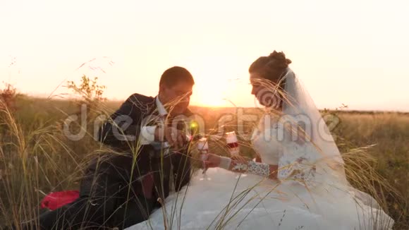 新郎在明亮的阳光下为新娘在田野里斟上美味的葡萄酒新婚快乐喝香槟视频的预览图