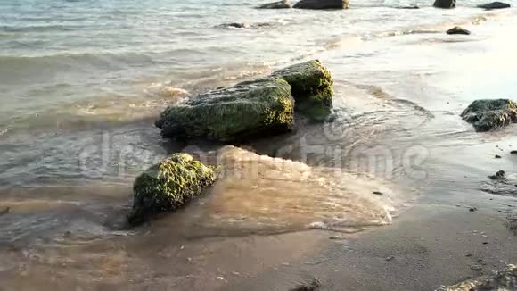 沙滩上的石头视频的预览图
