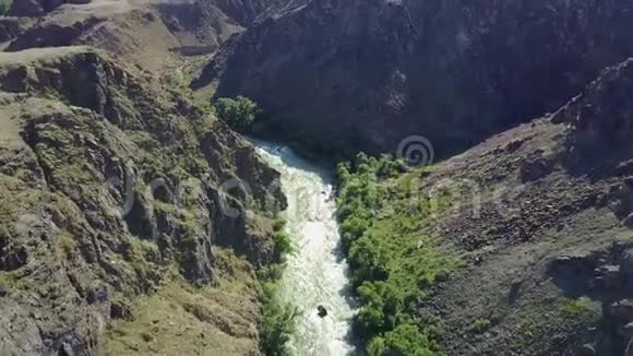 湍急的河流穿过岩石峡谷河岸上种着不同的绿树和灌木视频的预览图