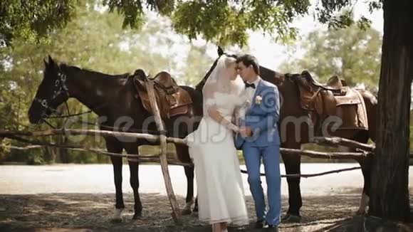 这对美丽的敏感夫妇手牵着手在马身旁揉着鼻子的完整婚礼画像视频的预览图
