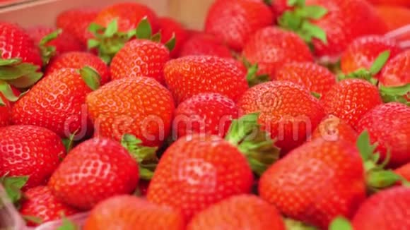 草莓背景市场柜台上的红色成熟有机草莓近距离射击视频的预览图