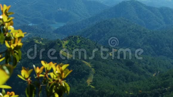 阳光明媚的夏日青山绿水大自然令人惊叹户外宁静视频的预览图