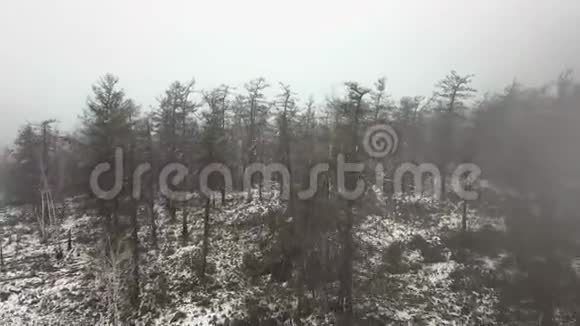 在大自然中下雪空中观景无人机飞过山丘森林视频的预览图