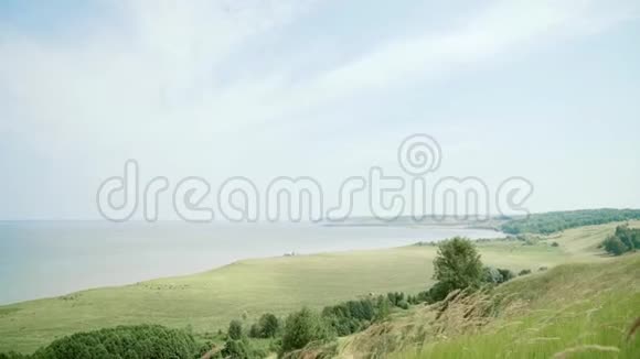 夏日风景河的俯视图视频的预览图