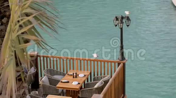 海鸥在海堤上的餐厅里飞翔坐在椅子和桌子上视频的预览图