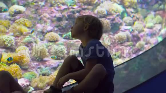 家庭参观海洋馆男孩在一个有热带鱼的大型水族馆里闲逛视频的预览图