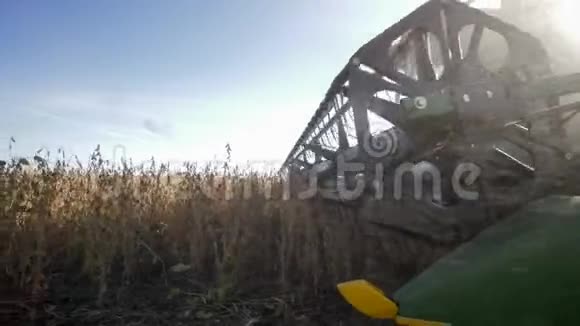 收割机在田间工作收获大豆时背光农业视频的预览图