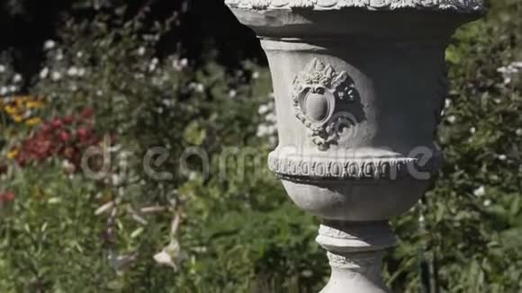 花园里的白色花瓶夏日视频的预览图