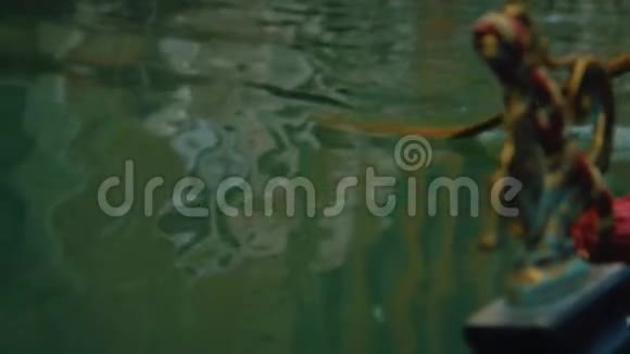 在刚多拉的福罗拉上划桨视频的预览图