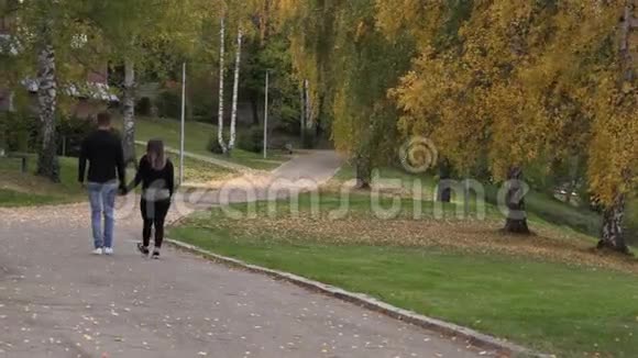 一个带着女孩走在公园里的年轻人手牵着手视频的预览图