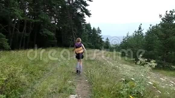 女游客背着背包在森林里的一个国家公园散步慢动作视频的预览图