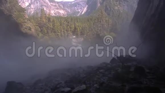 在树荫下观看约塞米蒂瀑布的全景视频的预览图