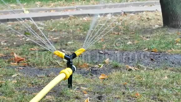 黄黑浇水草坪洒水系统喷水视频的预览图