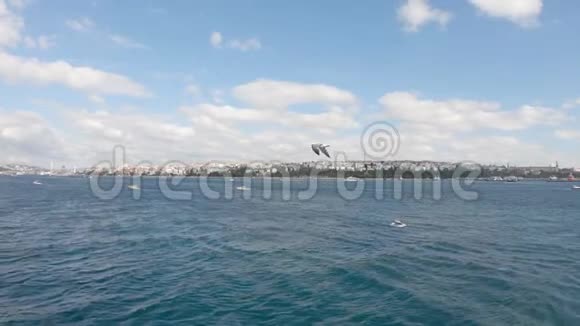 海鸥飞过博斯普鲁斯海与土耳其伊斯坦布尔市景相对抗视频的预览图